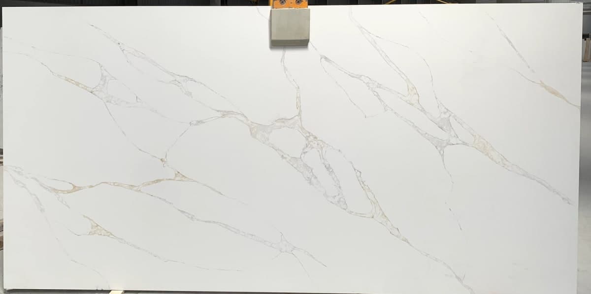 Ivory Goldstream
