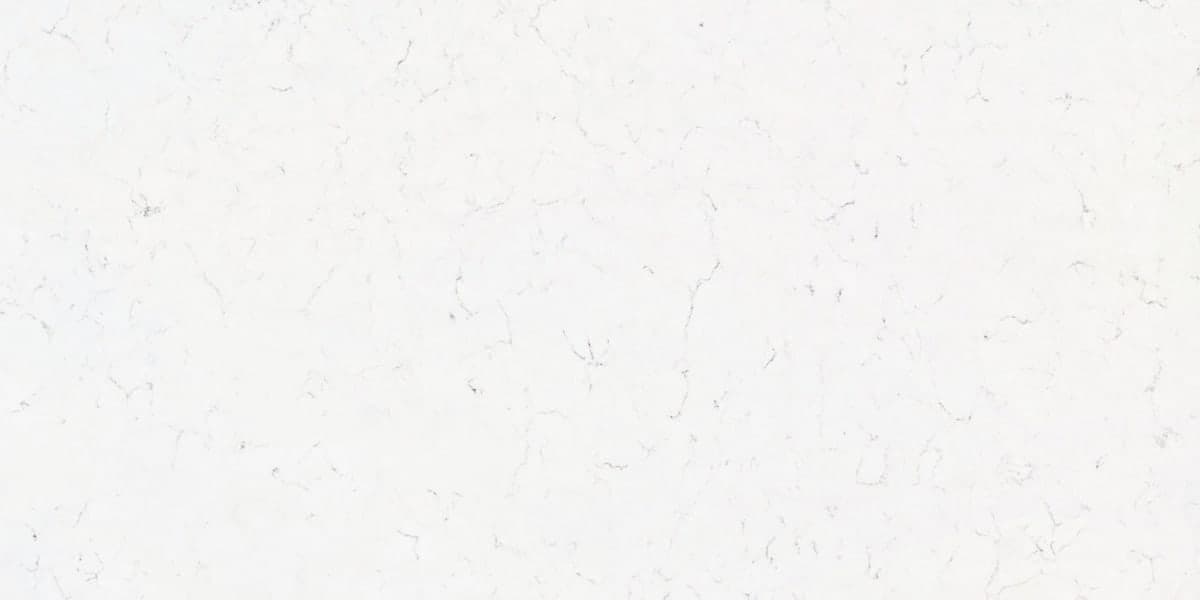 Carrara Galbi