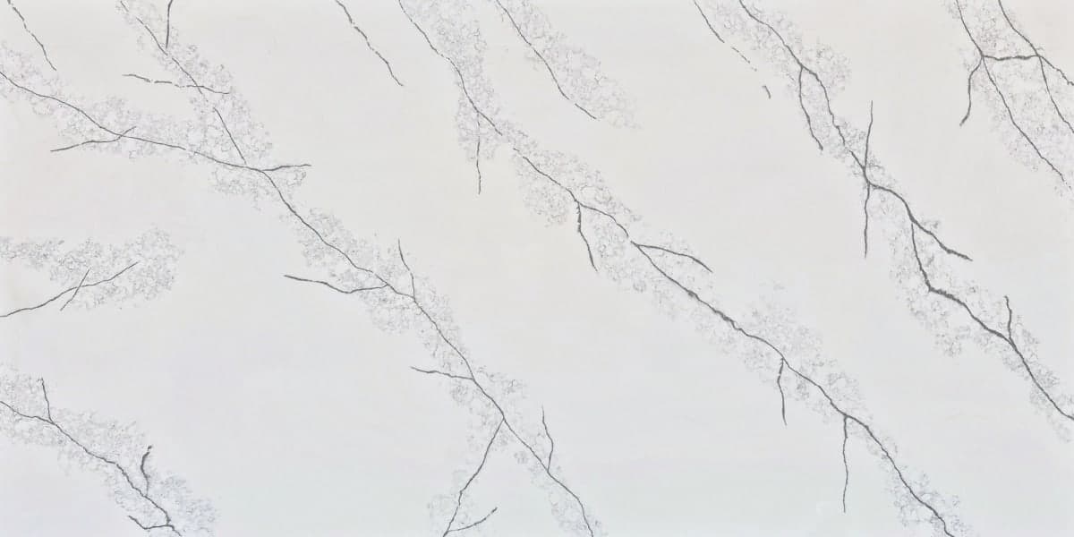 Calacatta Sakura